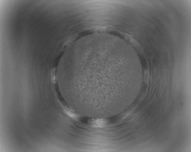 X0000068720383200605051439