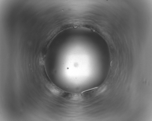 X0000068720384200605051439