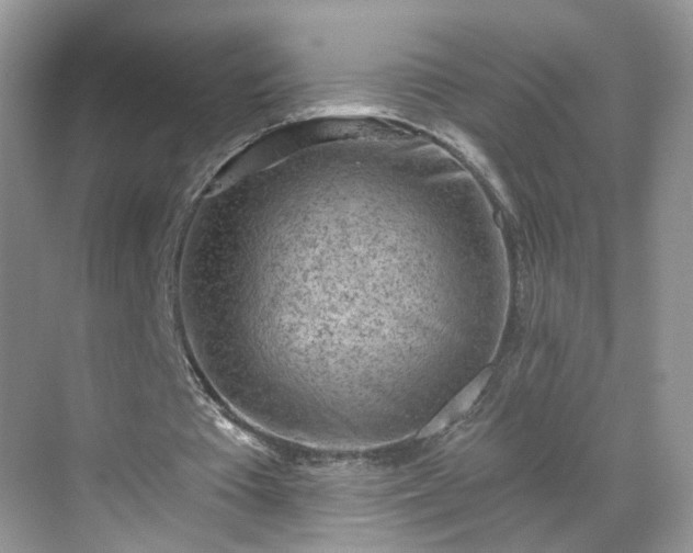 X0000068720385200605051439