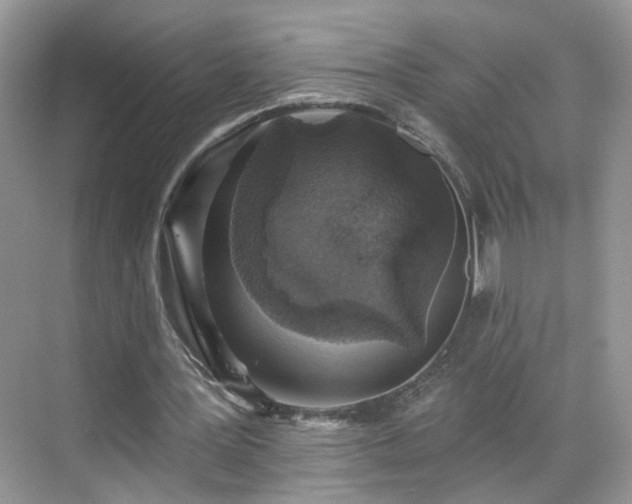 X0000068720387200605051439