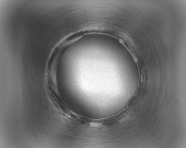 X0000068720388200605051439