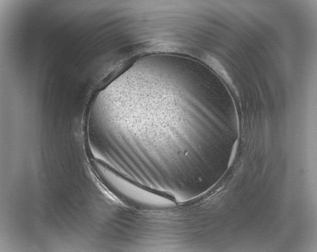 X0000068720389200605051438