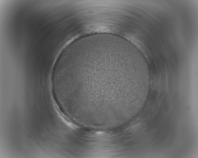 X0000068720390200605051438