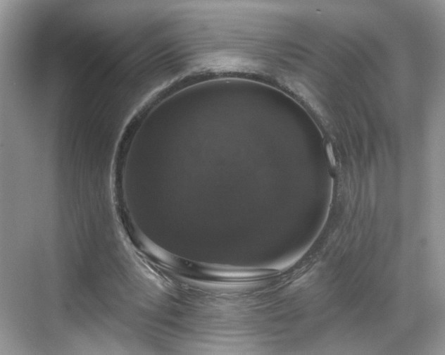 X0000068720391200605051438