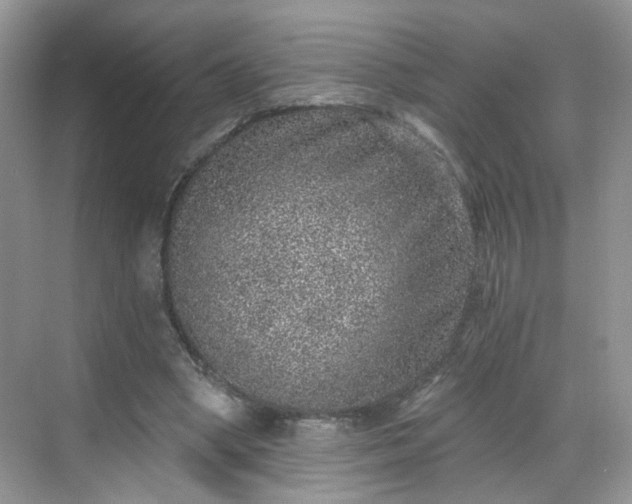 X0000068720394200605051438