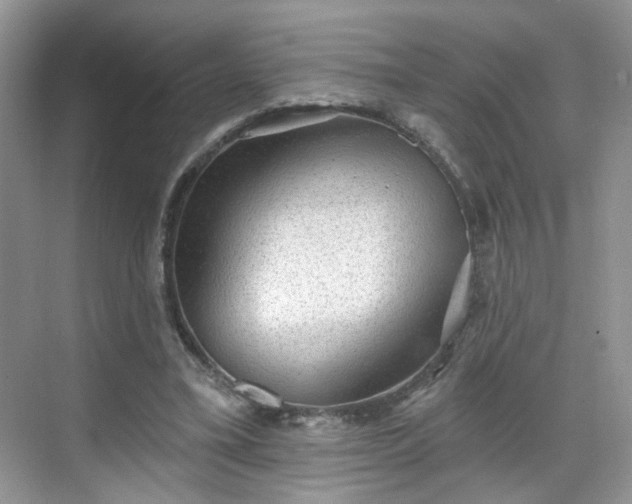 X0000068720395200605051438