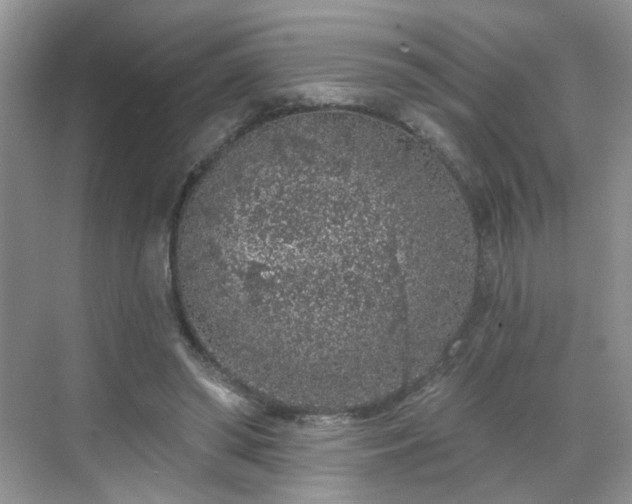 X0000068720398200605051438