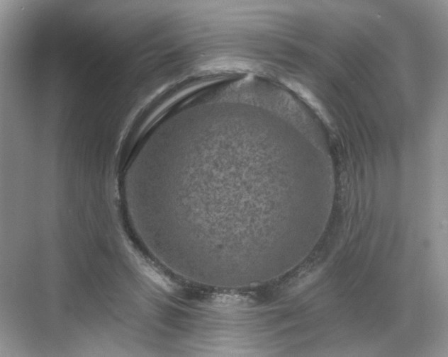 X0000068720399200605051438