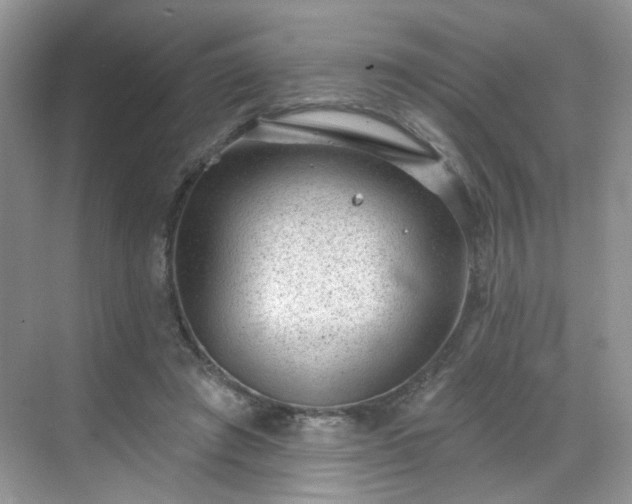 X0000068720401200605051438