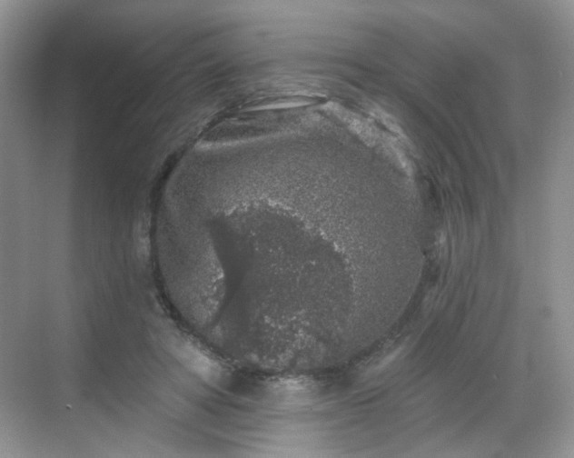 X0000068720402200605051438