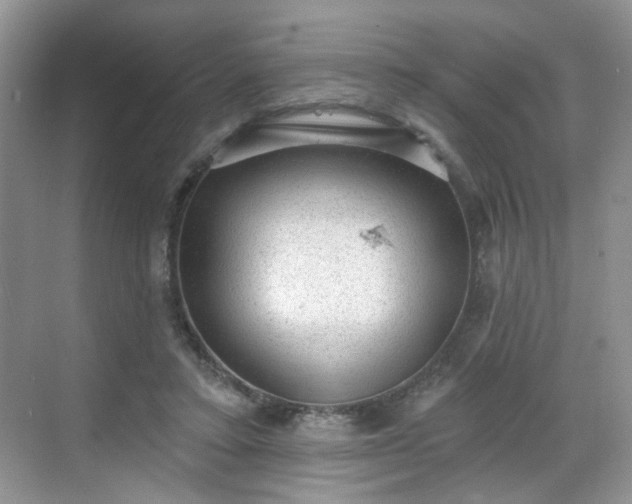 X0000068720403200605051438