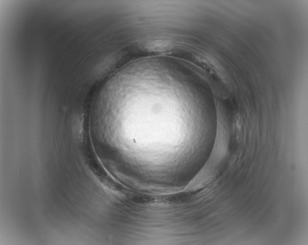 X0000068720404200605051438