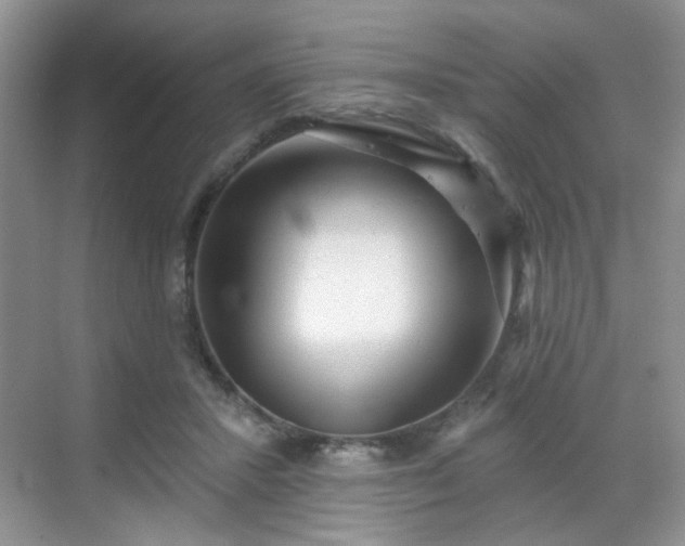 X0000068720407200605051438