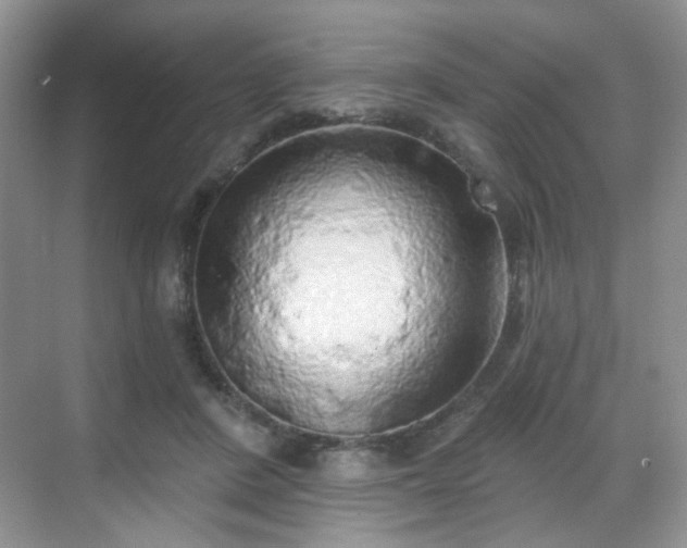 X0000068720408200605051438