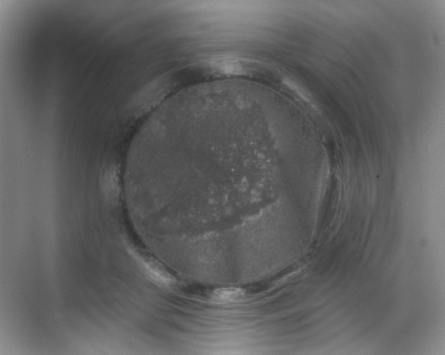 X0000068720410200605051438