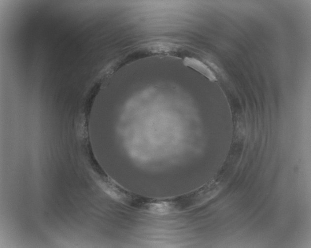 X0000068720411200605051438