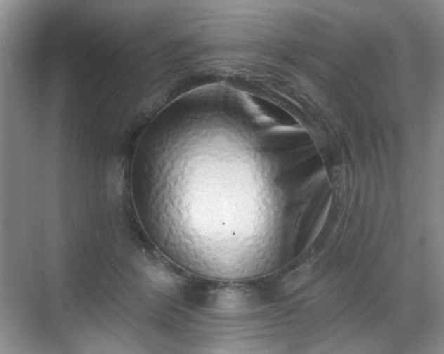 X0000068720412200605051438