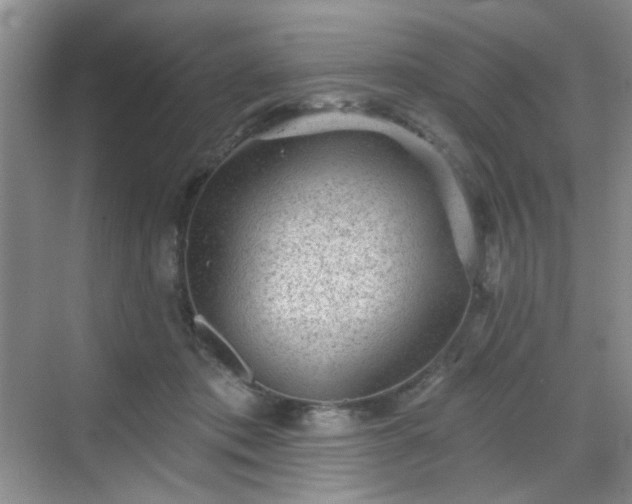 X0000068720413200605051438