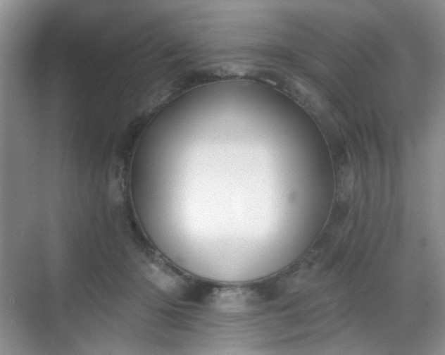 X0000068720414200605051438