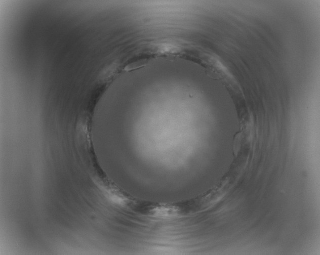 X0000068720415200605051438