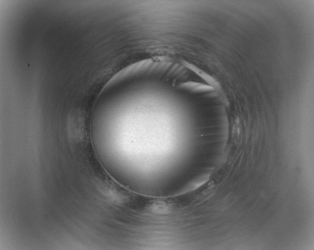 X0000068720416200605051438