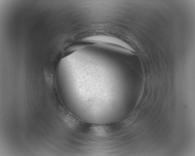 X0000068720417200605051438