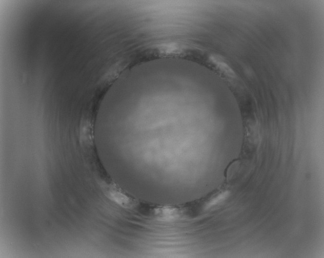 X0000068720419200605051438