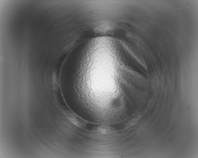 X0000068720420200605051438