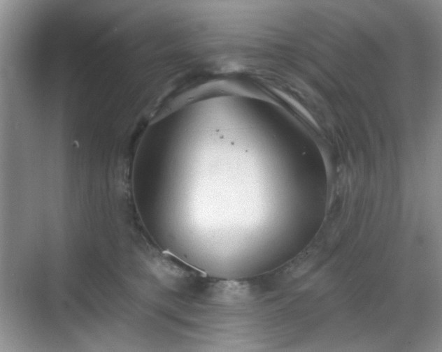 X0000068720421200605051438