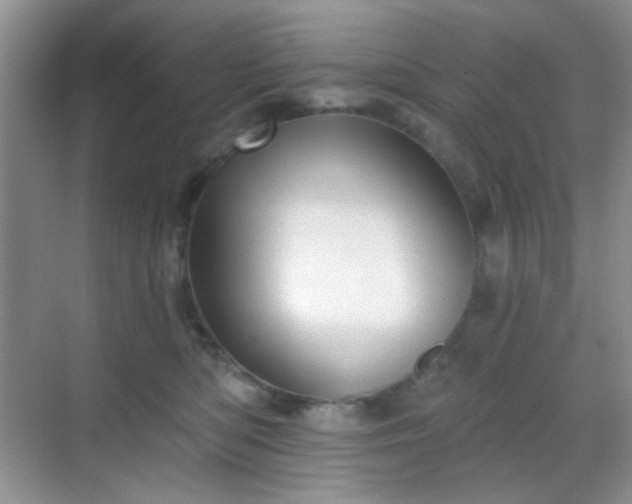 X0000068720422200605051438