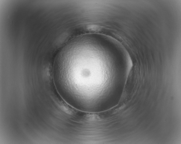 X0000068720424200605051438