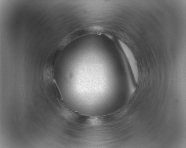 X0000068720425200605051438