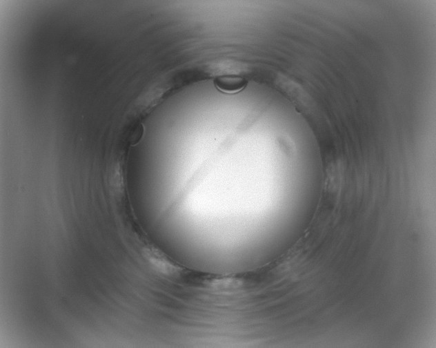 X0000068720426200605051438