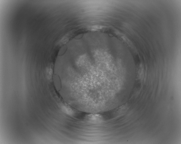 X0000068720427200605051438