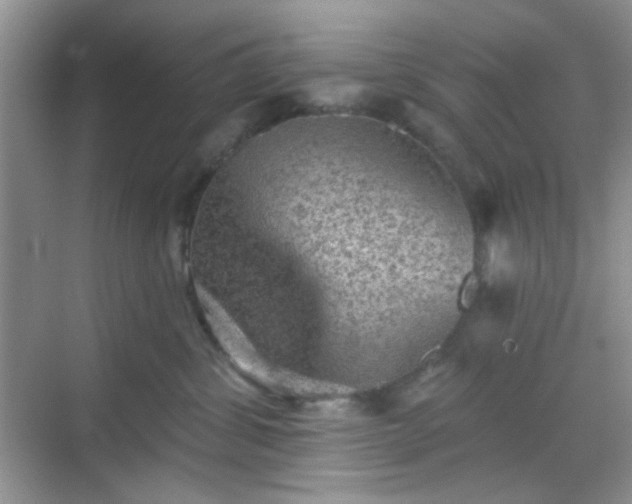 X0000068720428200605051438