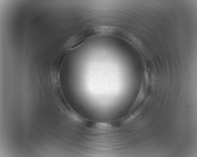 X0000068720429200605051438