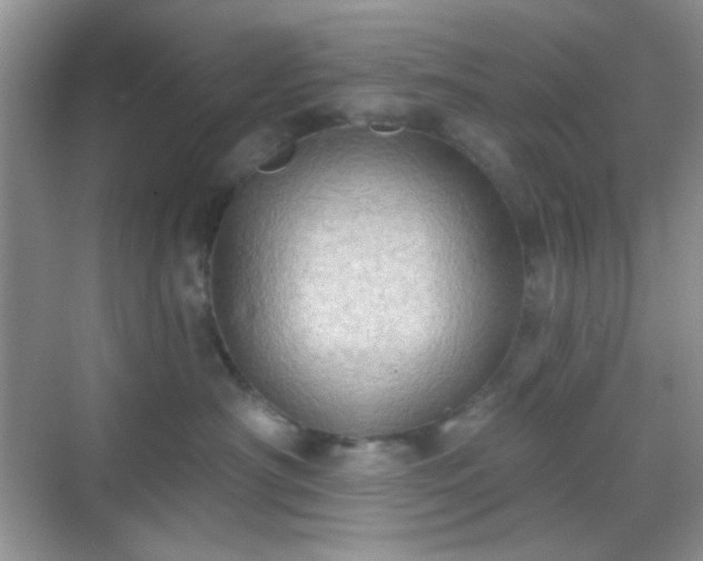 X0000068720430200605051438