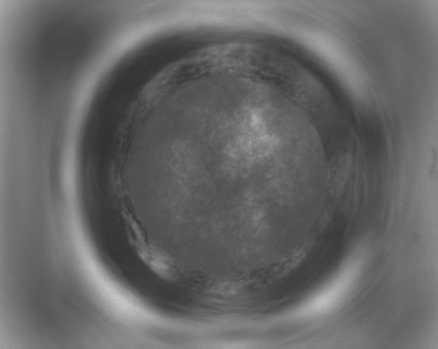 X0000068720431200605051438