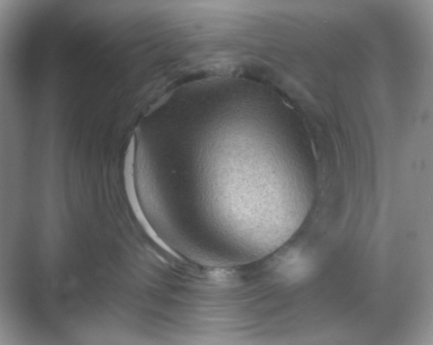 X0000068720432200605051438