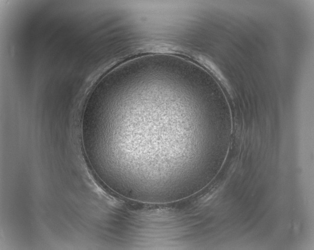 X0000068720433200605051437