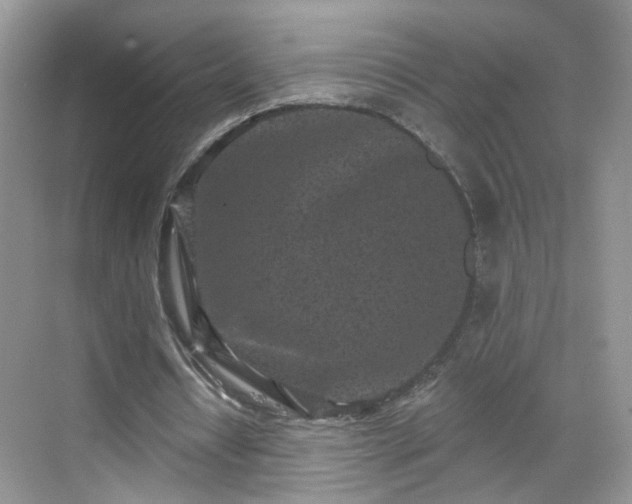 X0000068720434200605051437