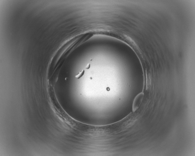 X0000068720435200605051437