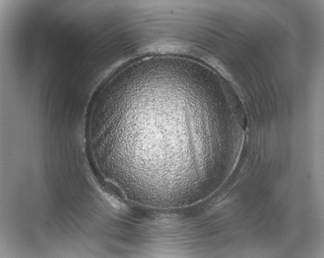 X0000068720438200605051437