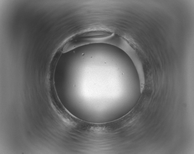 X0000068720440200605051437