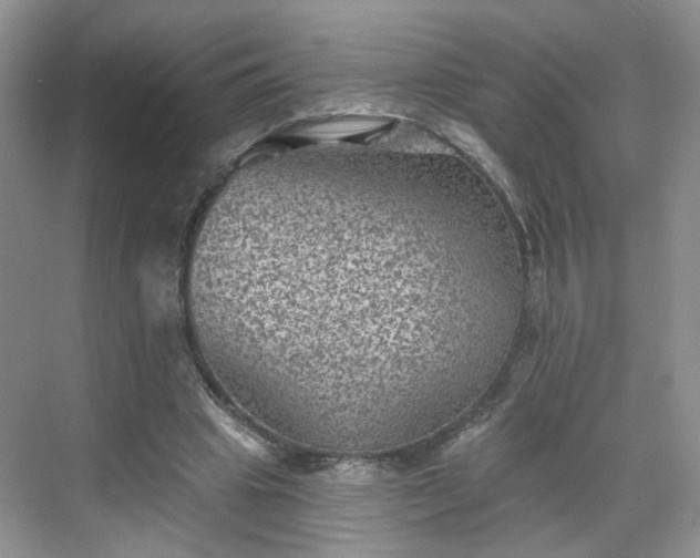 X0000068720441200605051437