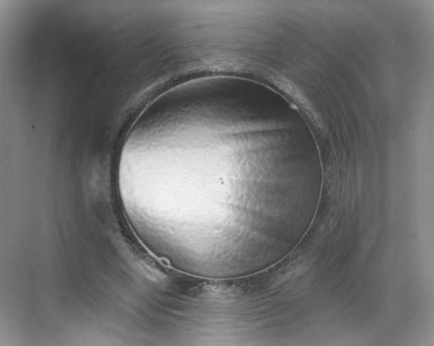 X0000068720442200605051437