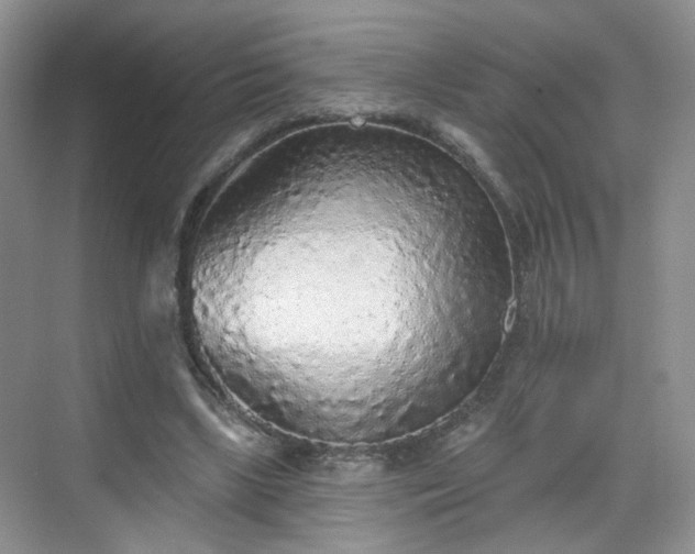 X0000068720443200605051437