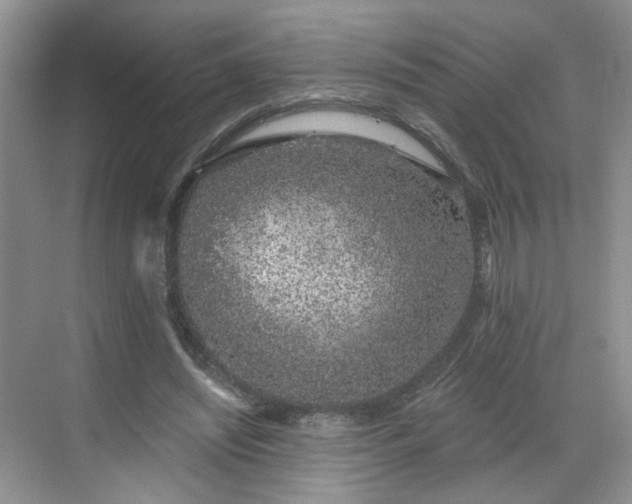 X0000068720444200605051437