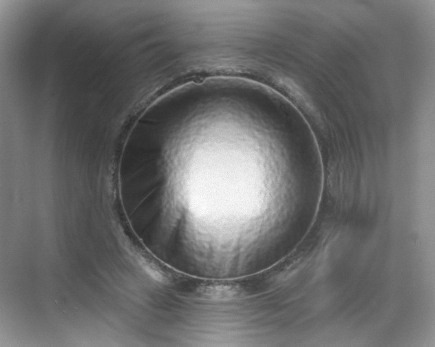 X0000068720449200605051437