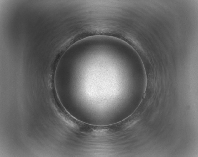 X0000068720450200605051437